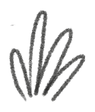filler-img
