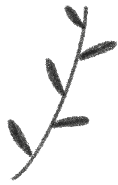 filler-img